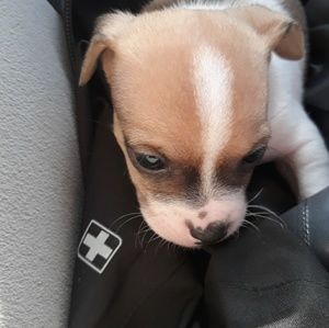 Meet your Posher, Esteban